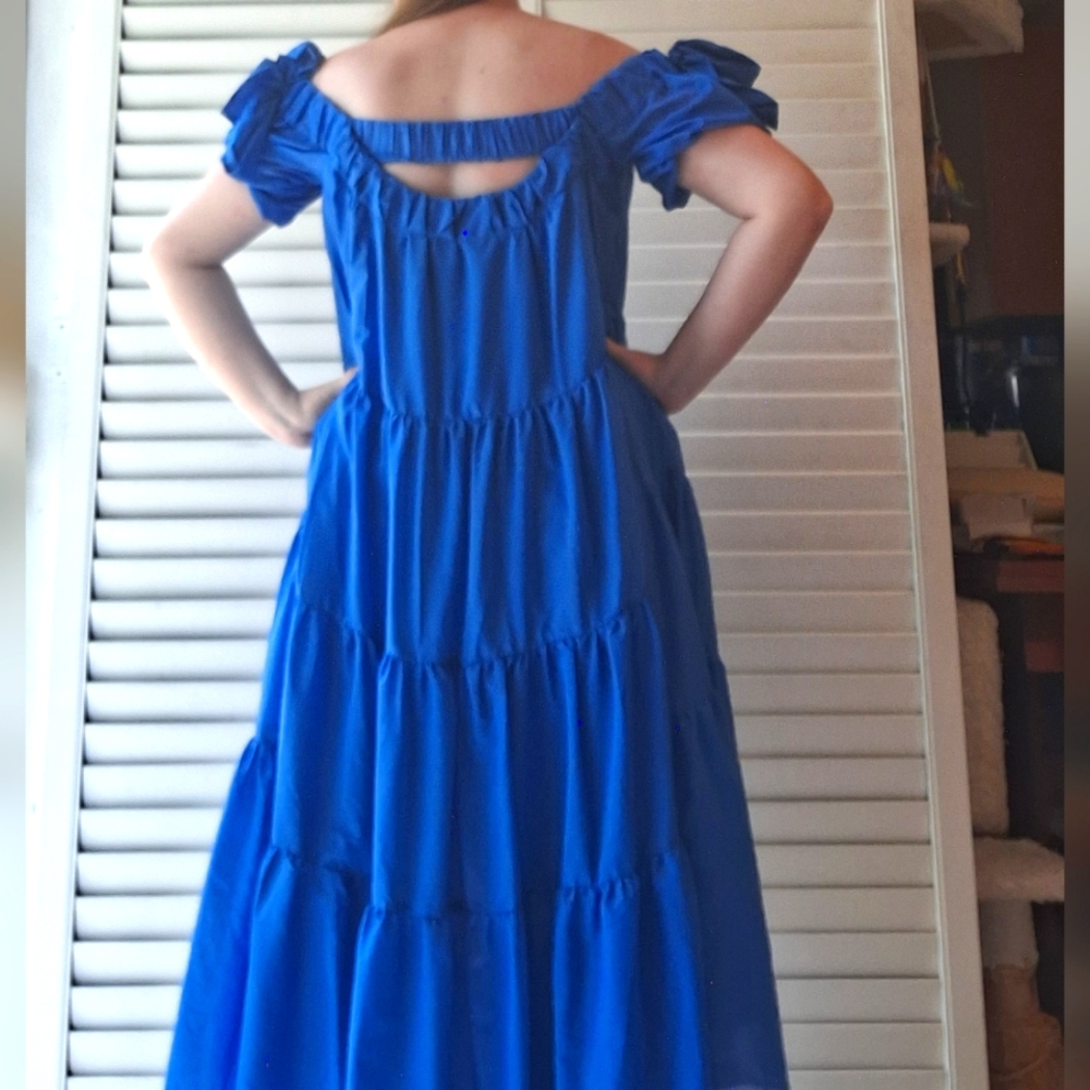 Anthropologie Blue Ruffled Chiffon High-Low Dress - Picture 4 of 16